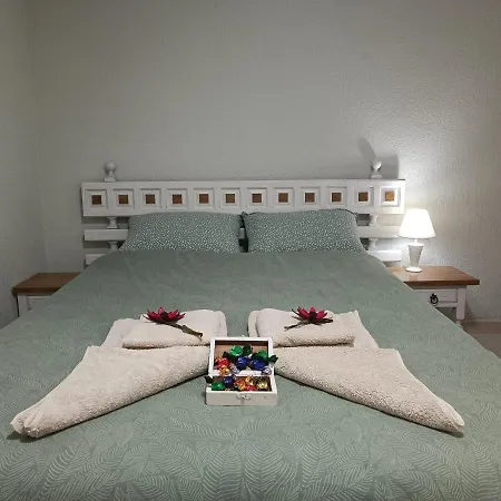 Homestay Apartamento En Planta Baja Pineda de Mar